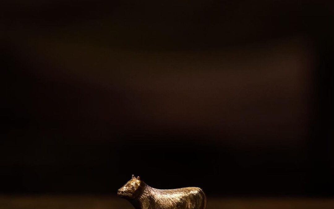 【和牛焼肉  伍感(ごかん)】